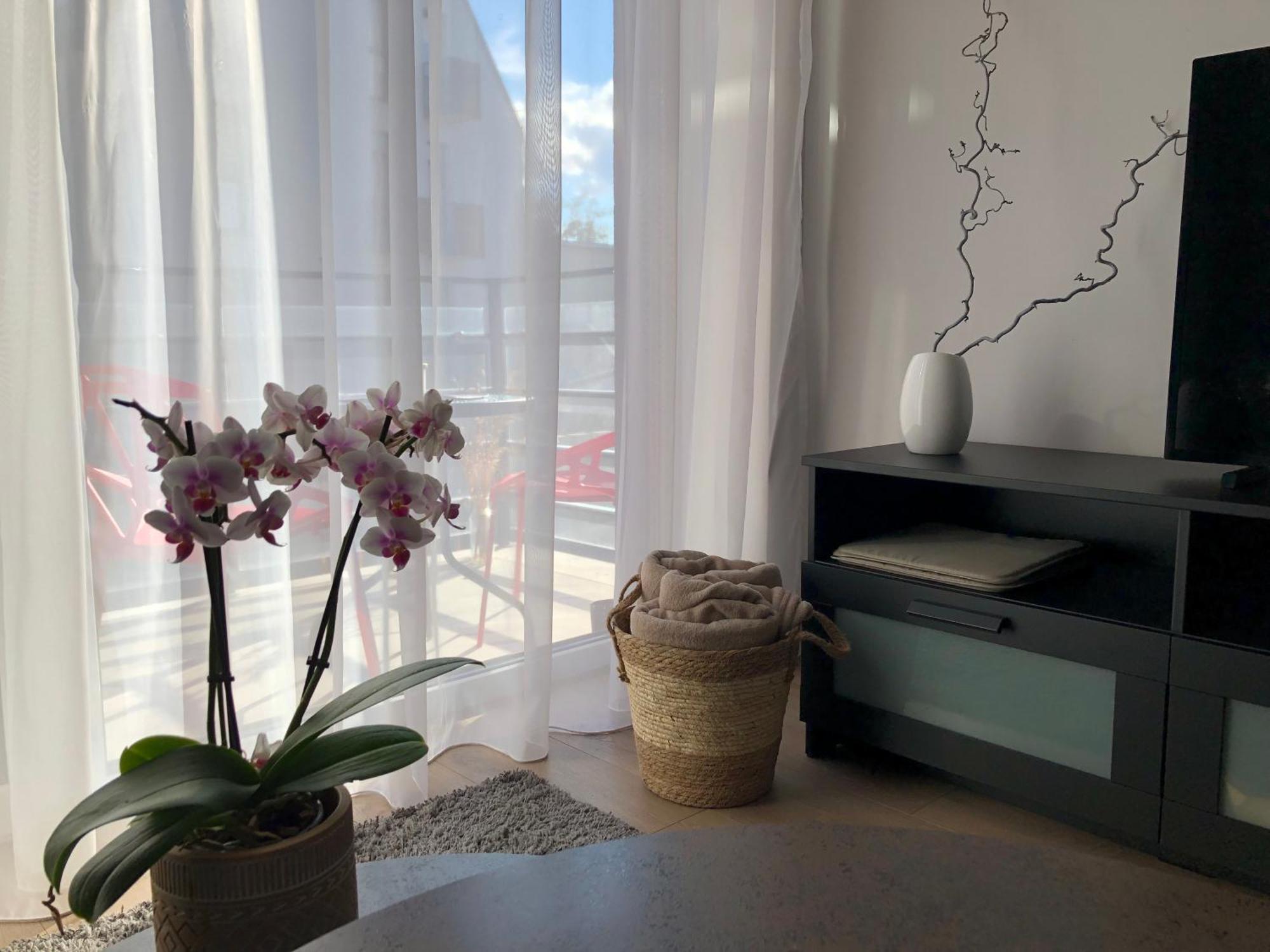 Cosy 1 Bedroom Apartment In The Heart Of Old Town With Parking Kaunas Exterior photo